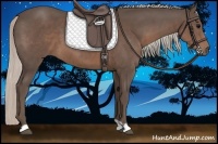 Horse Color:Silver Black 