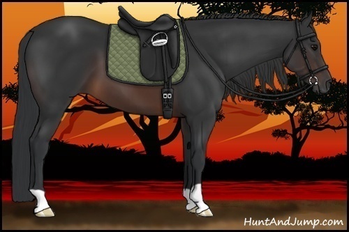 Horse Color:Brown 