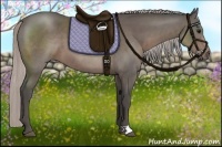 Horse Color:Silver Black 