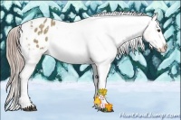 Horse Color:Chocolate Palomino Dun Tobiano Varnish 