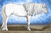 Horse Color:Chocolate Palomino Pearl Snowflake Varnish