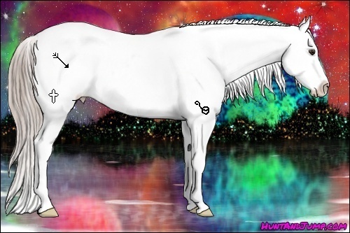 Horse Color:Chocolate Palomino Snowflake Varnish