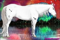 Horse Color:Chocolate Palomino Appaloosa