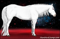 Horse Color:Silver Brown Chinchilla Appaloosa 