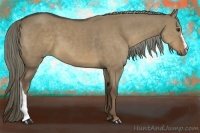 Horse Color:Liver Red Dun 