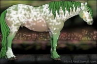 Horse Color:Watercolor Bay Ice 