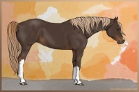 Horse Color:Liver Chestnut 