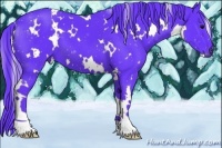 Horse Color:Watercolor White Spotted Black 