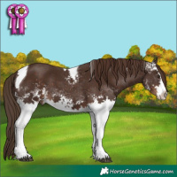Horse Color:White Spotted Liver Chestnut Tobiano 