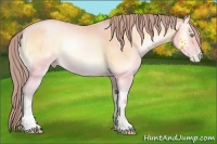 Horse Color:Watercolor Buckskin Pearl Onyx Sabino