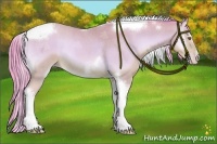 Horse Color:Watercolor Amber Champagne Onyx Tobiano Frame