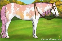 Horse Color:Watercolor White Spotted Bay Splash