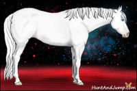 Horse Color:Gray Buckskin Pearl 