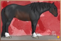 Horse Color:Brown 