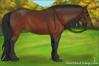 Horse Color:Brown 