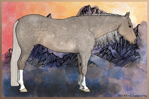Horse Color:Silver Smoky Blue Roan 