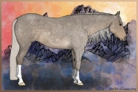 Horse Color:Silver Smoky Blue Roan 