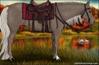 Horse Color:Silver Black 