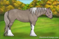Horse Color:Silver Grullo Tobiano