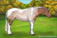 Horse Color:Silver Bay Sabino Tobiano 