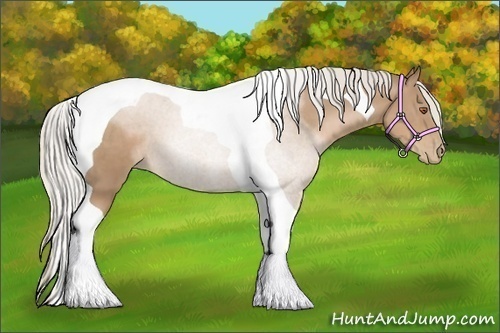 Horse Color:Silver Black Pearl Tobiano 