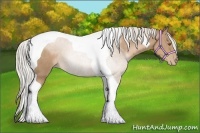 Horse Color:Silver Black Pearl Tobiano 