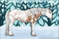 Horse Color:Silver Brown Sabino