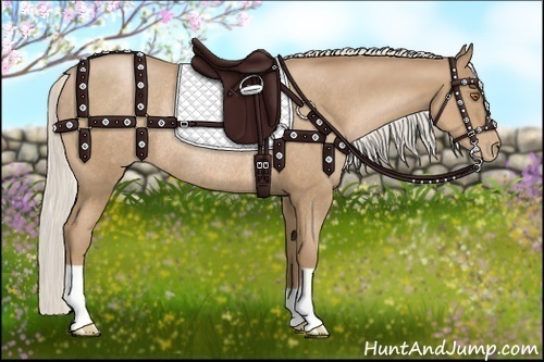 Horse Color:Silver Black Pearl Rabicano 