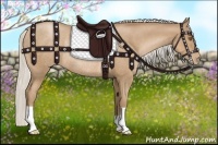 Horse Color:Silver Black Pearl Rabicano