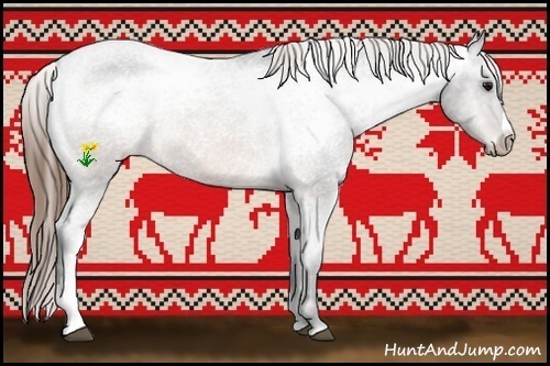 Horse Color:Brown Mushroom Varnish 