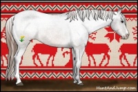 Horse Color:Brown Appaloosa 