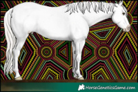 Horse Color:White Spotted Liver Red Roan Mushroom Appaloosa Rabicano 