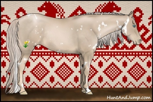 Horse Color:White Spotted Chocolate Palomino Pearl Rabicano