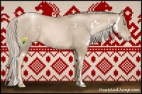Horse Color:White Spotted Chocolate Palomino Pearl Rabicano 