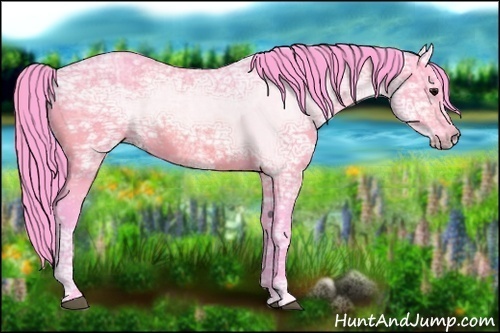 Horse Color:Watercolor Bay Ice