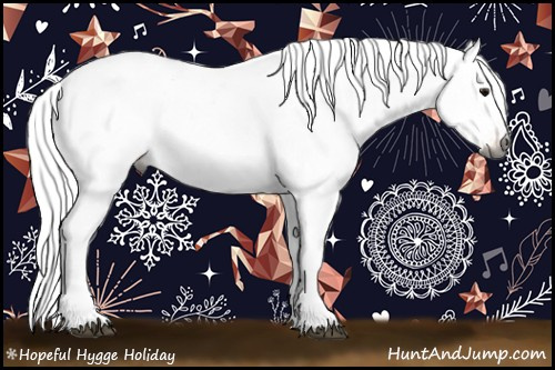 Horse Color:Gray Bay Ice Appaloosa 