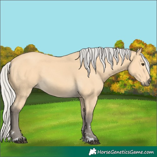 Horse Color:Silver Buckskin 