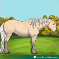 Horse Color:Silver Buckskin 