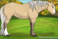 Horse Color:Silver Buckskin