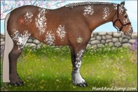 Horse Color:White Spotted Silver Bay Rabicano