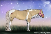 Horse Color:Silver Brown Dun Tobiano 