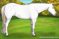 Horse Color:White Spotted Liver Chestnut Pearl Snowflake Varnish 