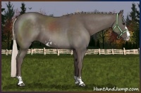 Horse Color:Silver Black Sabino Rabicano 