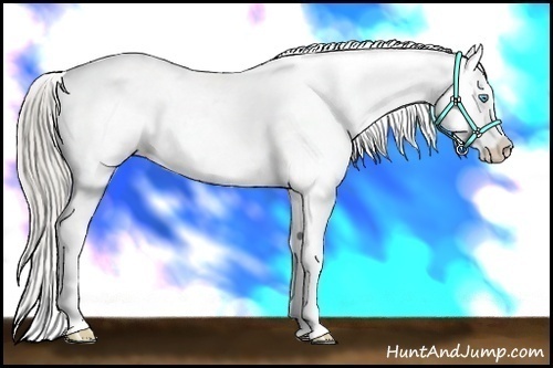 Horse Color:White Spotted Chocolate Palomino Pearl Varnish 