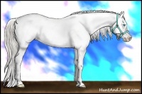 Horse Color:White Spotted Chocolate Palomino Pearl Varnish 