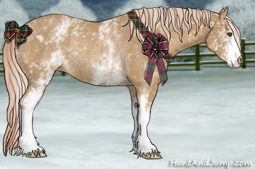 Horse Color:White Spotted Palomino Rabicano