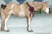 Horse Color:White Spotted Palomino Rabicano