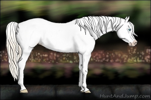 Horse Color:White Spotted Perlino Dun Varnish