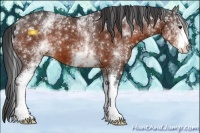 Horse Color:White Spotted Bay 