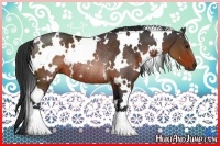 Horse Color:White Spotted Brown Rabicano 